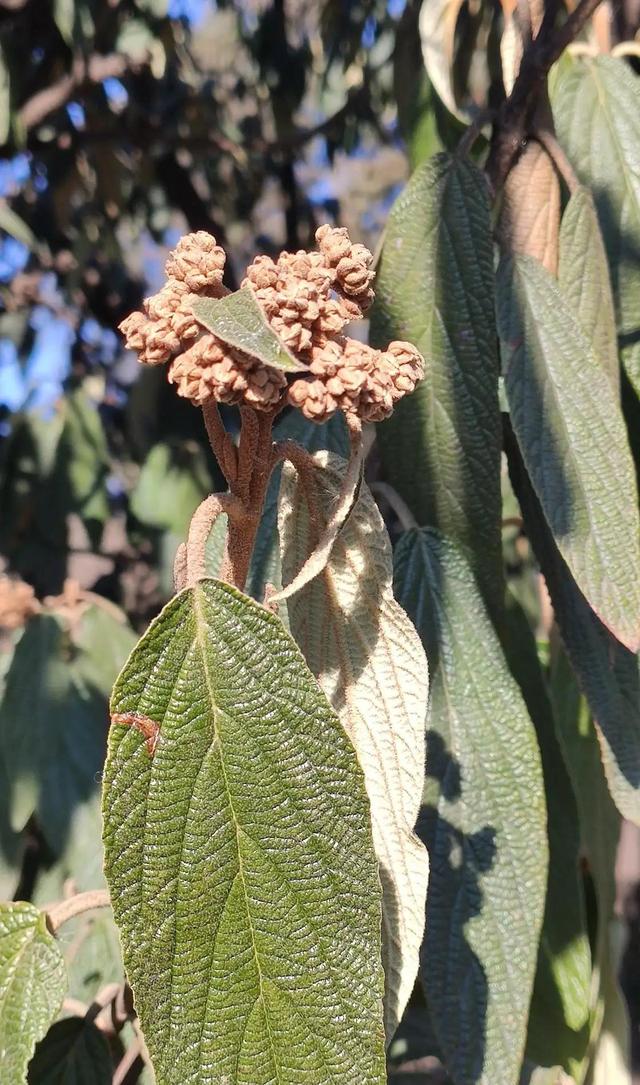 中科院北京植物園就挨著北京植物園，今天來逛一逛