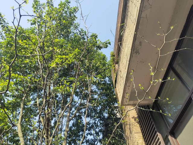 走进春天，发现美好