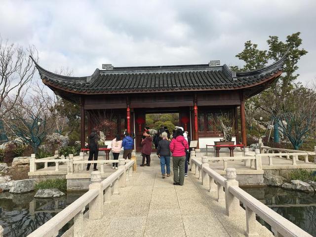 公園若不是實行預約入園辦法,元旦,春節期間,佔地面積只有5公頃的申園