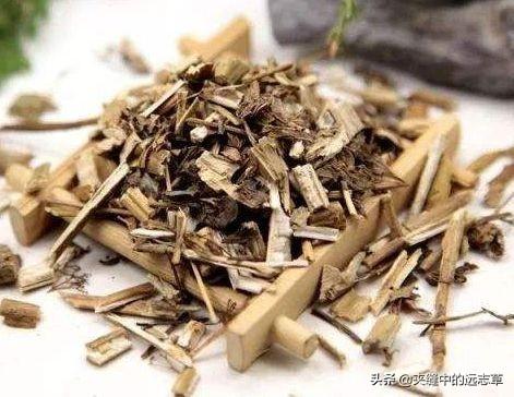 身困体乏湿气重？讲一味薏苡仁，健脾祛湿，给你的身体祛祛湿