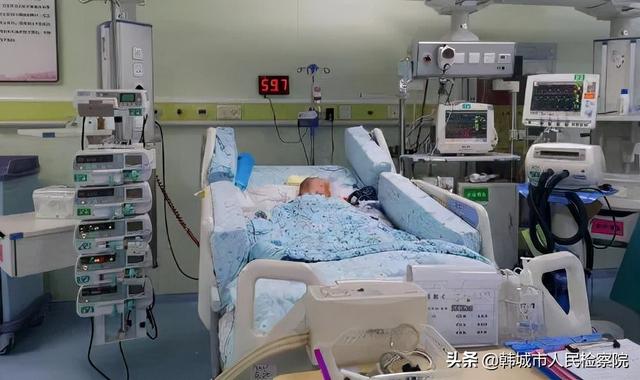 2020年，未婚女子意外怀孕，亲生父亲成谜，富商求子心切反遭诈骗