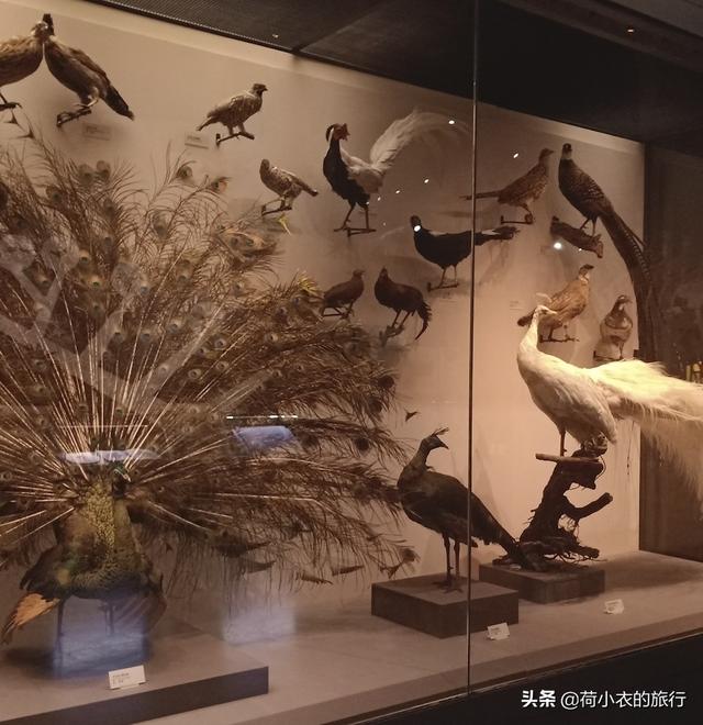 中國最值得去的10大博物館，你都去了幾個，全去過的人，太幸福了