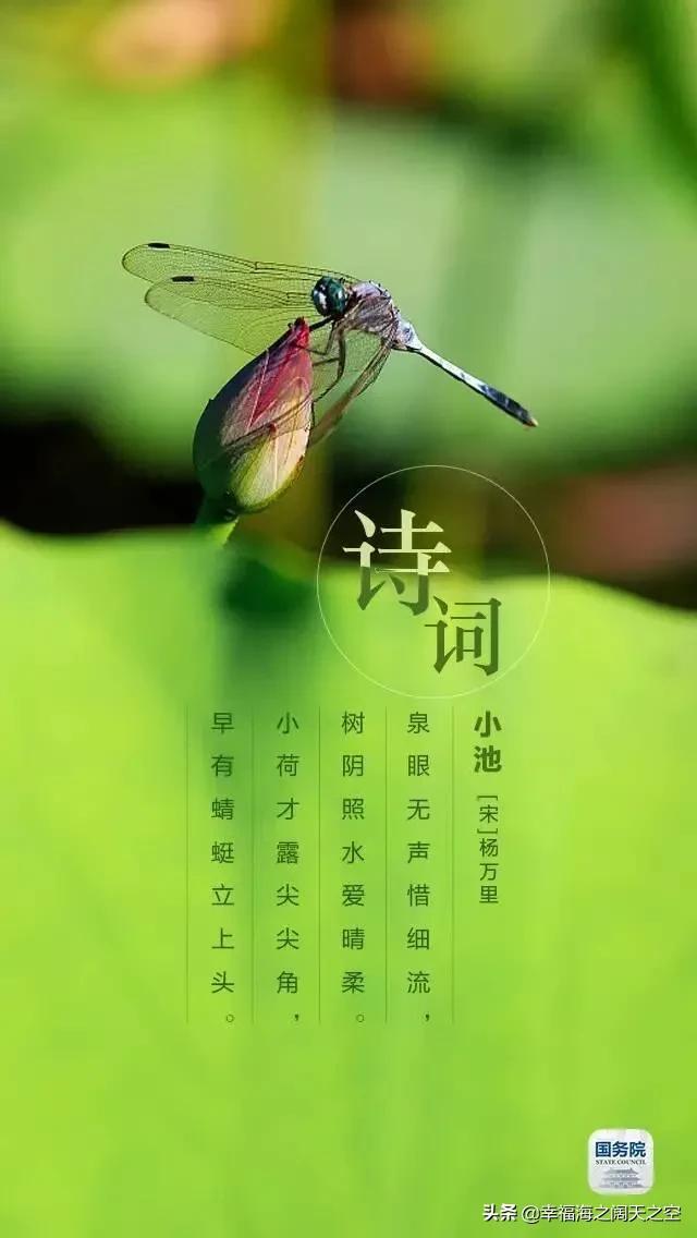 云卷云舒，草长莺飞，又是暮春将立夏，自来自去燕入堂