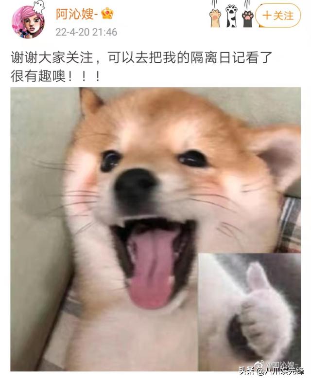 刘阳发动态疑似准备复出，半藏森林冲上热搜，阿沁迅速回应很真实