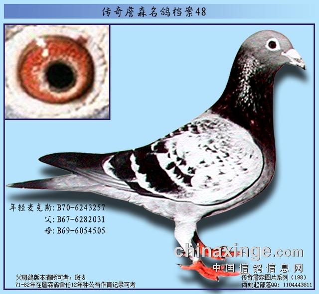 019是哪里的区号