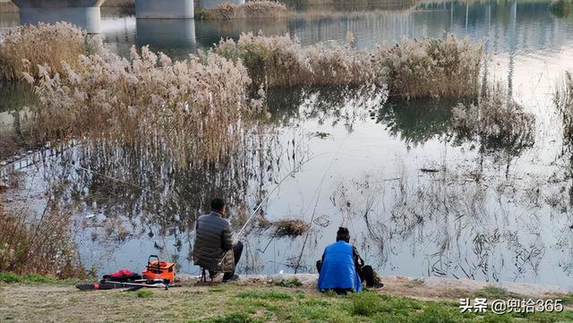 山東一河流入海口成天然黑坑，釣魚人蜂擁而至，魚獲到底怎麽樣？