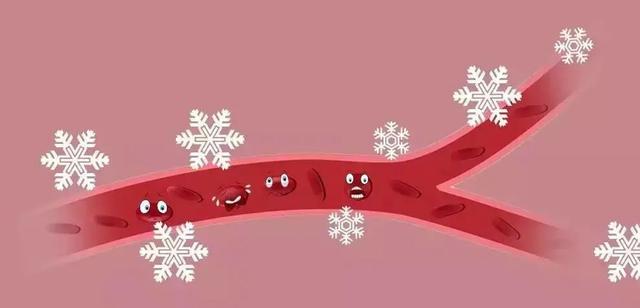 这几个器官比你更怕冷！“防寒保暖法则”你值得拥有