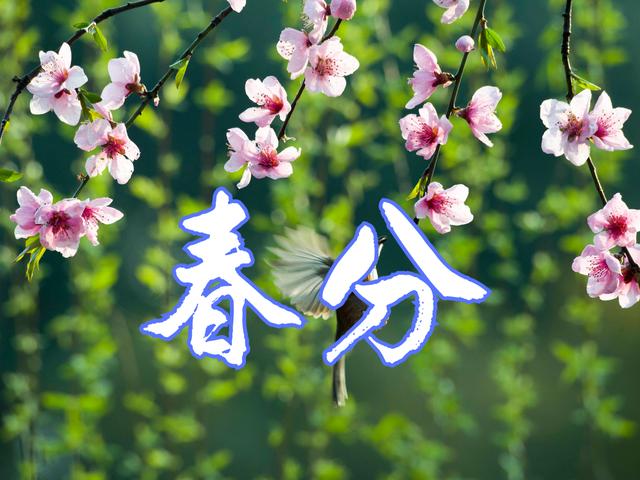 3月日 是 春分 节气 饮食上应该吃什么 又该如何养生呢 新闻时间