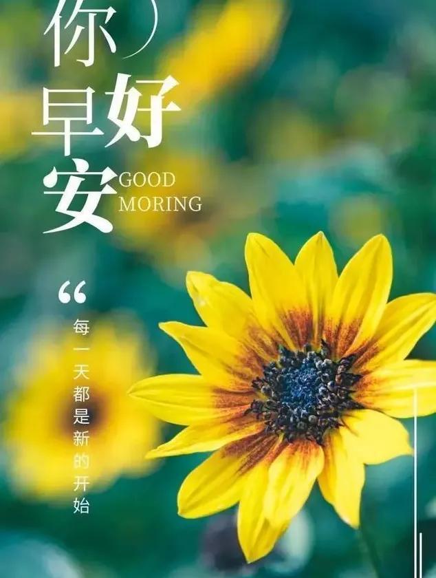 早安励志心语，播种阳光，收获微笑，放慢脚步，享受美好的东西