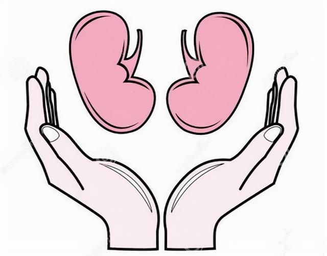 《疏调养生谈》养生之道，疏调为关键