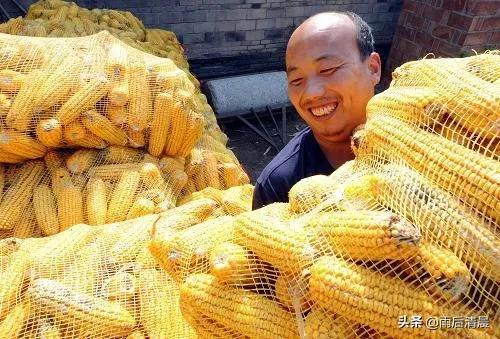 七言《抒怀》