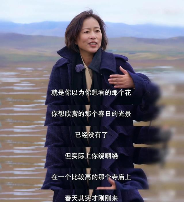 突然被这几句话点醒了