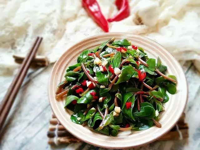 郑州野菜采摘地图出炉！香椿、荠荠菜...挖野菜全攻略，还不赶紧收藏