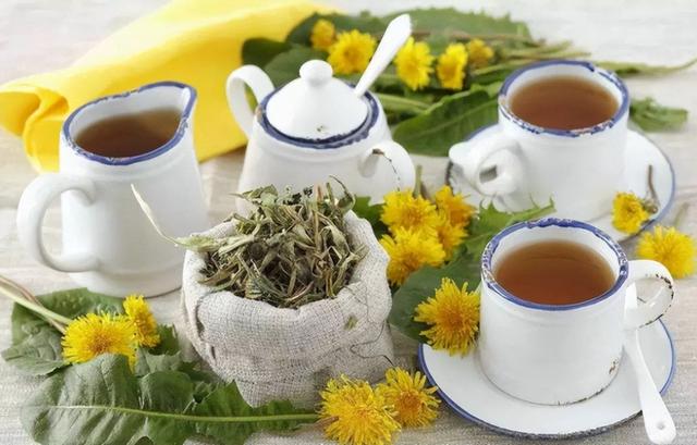 长期喝蒲公英泡水，身体会收获啥好处？提醒：5类人最好别凑热闹