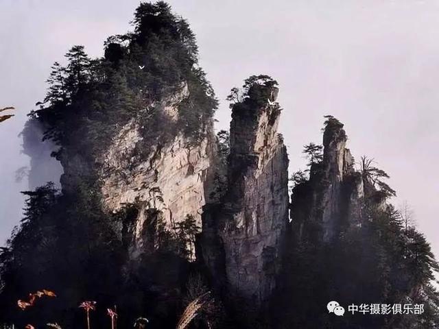 太美了！金奖摄影作品欣赏——