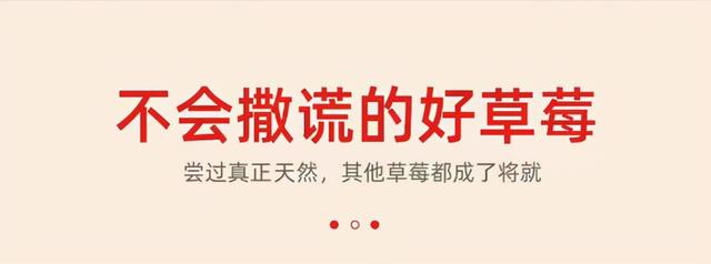 大连废木材破碎机