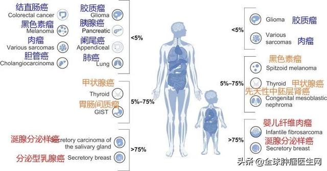 所有癌癥患者都應該檢測的泛癌種靶點NTRK，中美15種新藥已問世?