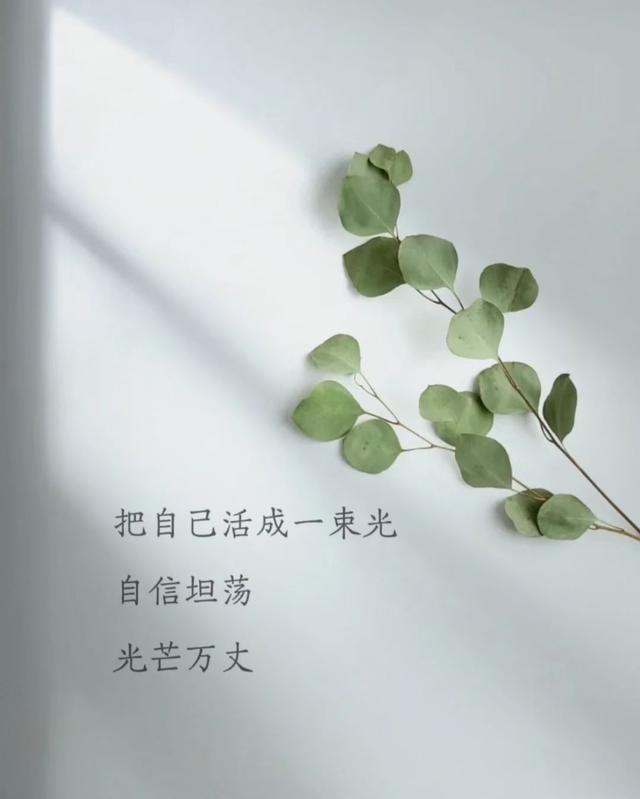 励志语录 全力以赴，潜力无限，你比你想象的还要强大
