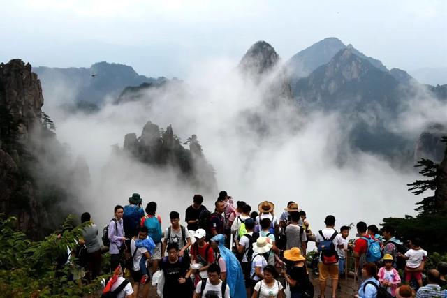 迎客松无客可迎黄山旅游业遭重创