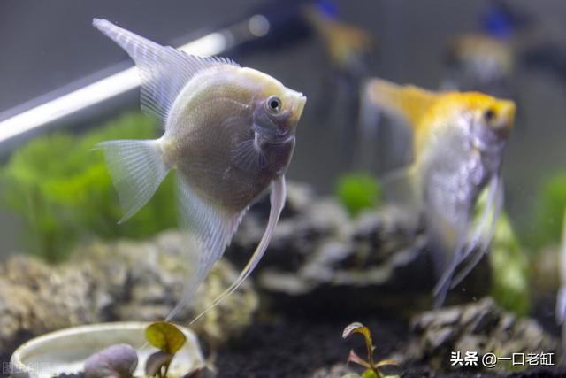 三和一过滤机的简单介绍