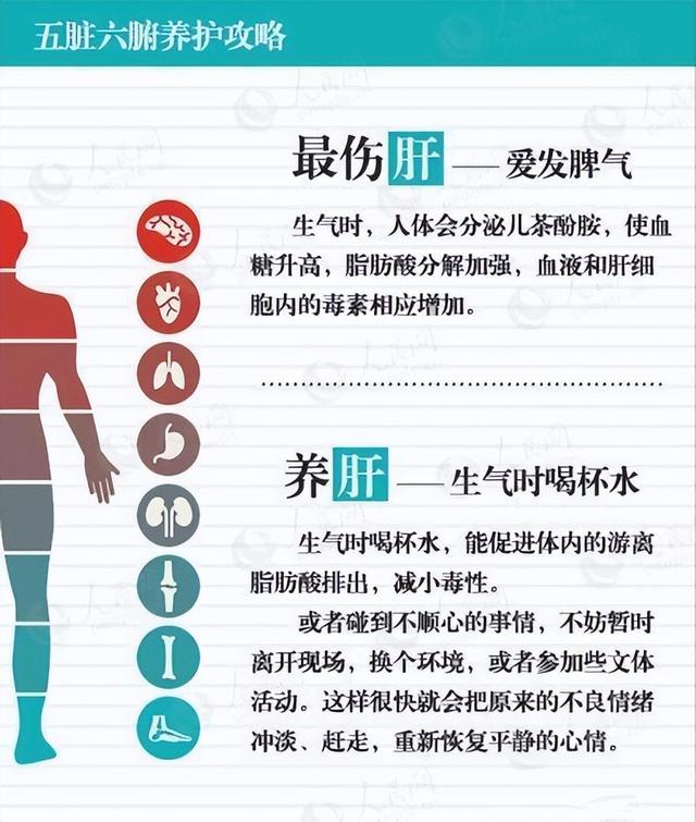 五脏六腑养护攻略一览表，十分实用，值得收藏