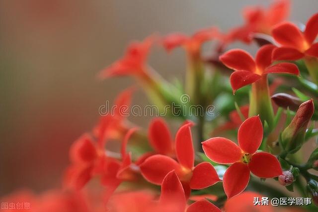 能活过90岁的人，共同特征29项