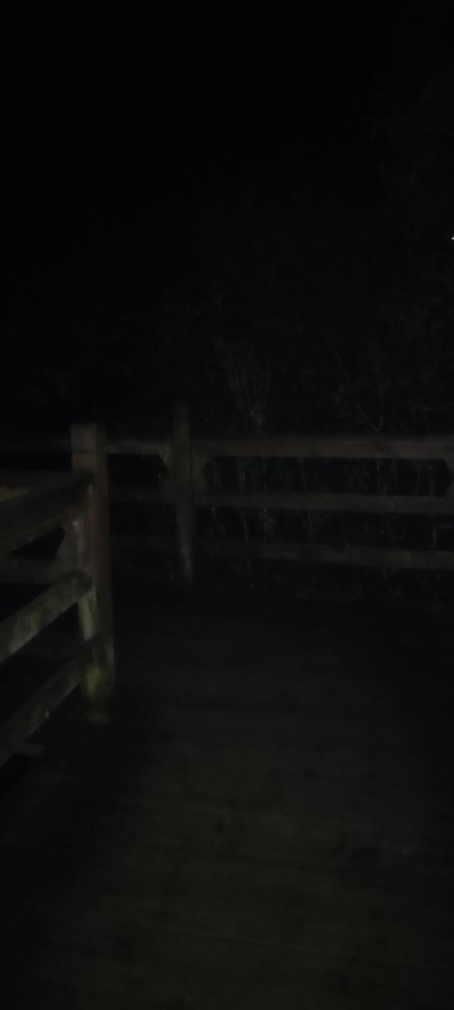 一不小心又成了夜遊~周末街子古鎮康道徒步到光嚴禅院~腳都走麻了