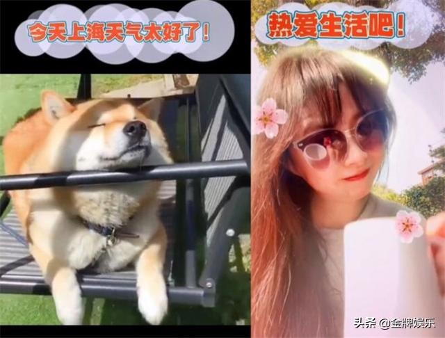东方卫视主持人周瑾发布生活动态惹争议！疫情期间你还这么悠闲