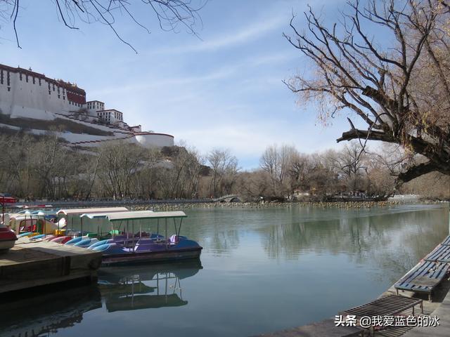 在布達拉宮後面的宗角祿康公園看水鳥能讓您忘記所有的煩惱