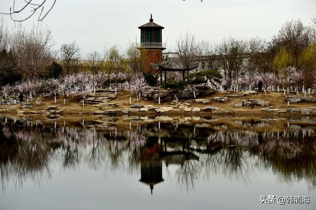 天津北宁公园