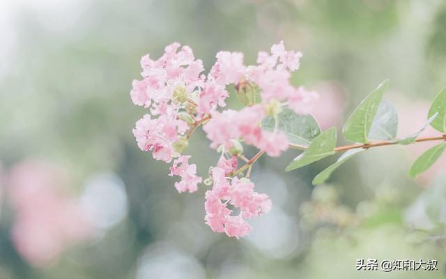 真正厉害的女人，往往会在这些事上保持安静