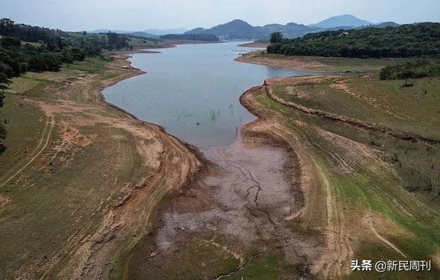 新刊 | 巨头辉瑞的中国大动作