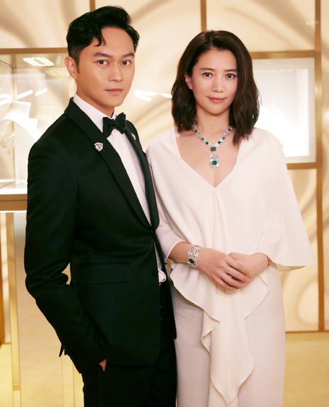 张智霖因袁咏仪疯狂买包寻求法律意见，炫耀行为引众多网友反感