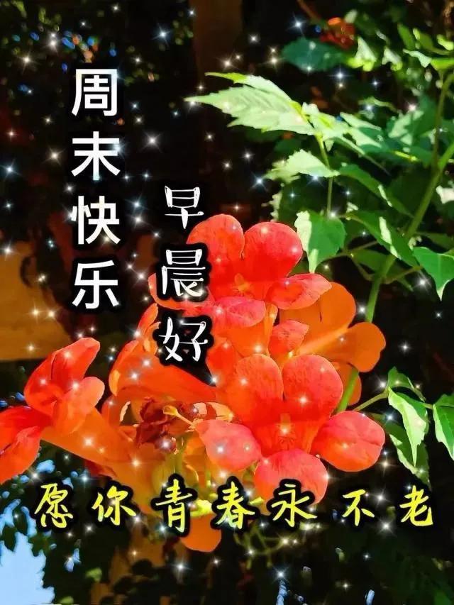 相遇红尘，浅夏花开