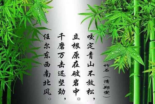 抱怨没有用，一切靠自己