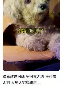 营销策略洞察:美妆行业八大人群内容偏好详解(上)