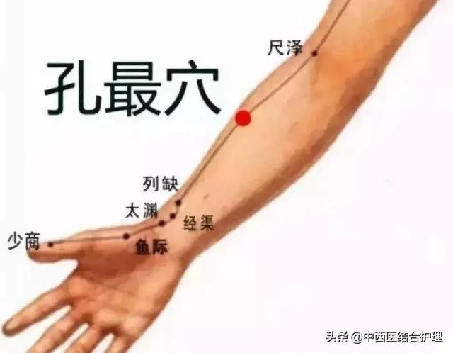 「经络科普」如果这里堵了，人易咳嗽、皮肤痒，赶紧揉开