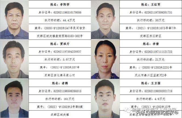 曝光! 武都区法院公布2022年第一批失信被执行人名单（172人）