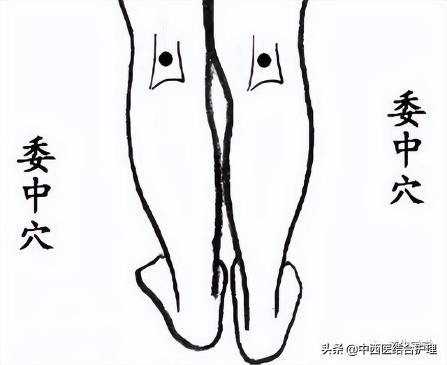「春季养生科普」春天久坐的人，这几个小动作，筋骨舒展，降低久坐危害