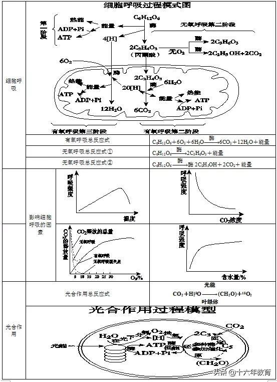 萨顿假说