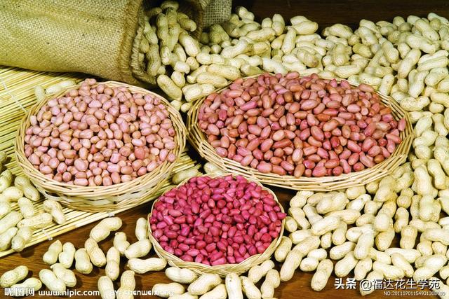 「花生价格」4月21日吉林白城洮北区、内蒙通辽开鲁花生价格行情