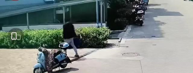 男子因吸猫上瘾，结果“绑架”邻居加菲猫，被抓现行