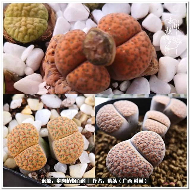 桂林滚筒式洗砂机厂家
