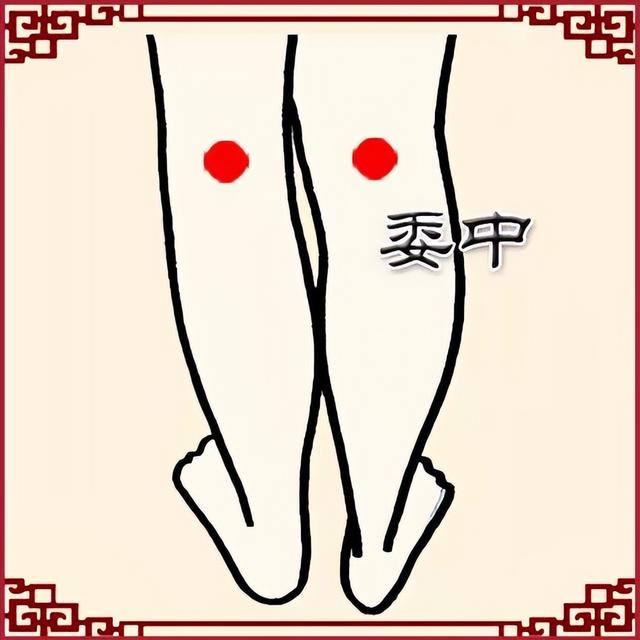 老中医分享人体“九大养生穴”，没事多按揉几下，预防疾病抗衰老
