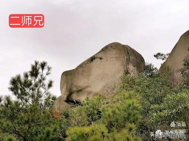 大羅山有處二師兄奇石，惟妙惟肖，你可找到過？