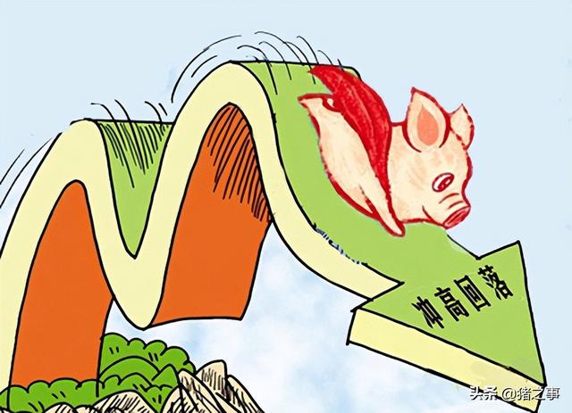 预警！市场情绪分化，猪价呈现“稳中多跌”，难不成还要狂跌？