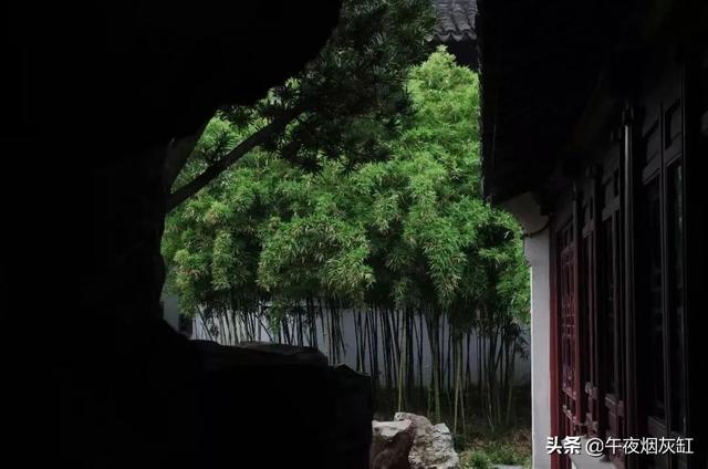 内心有光，能容万物