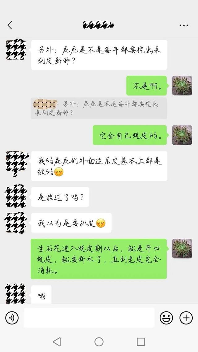 郑州新型泥土洗砂机