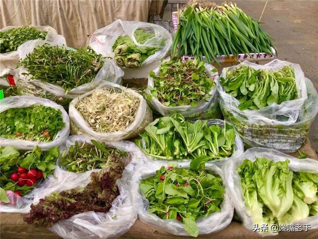 惊蛰前后，建议给家人多吃“5个鲜”，营养丰富，鲜嫩爽口，真香