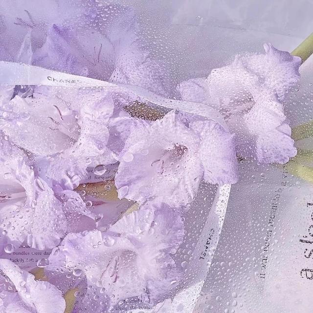 散文：曾经的美好，就是一笺泛黄的温柔，在花香里潜着